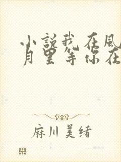 小说我在风花雪月里等你在线阅读