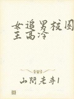 女追男校园文男主高冷