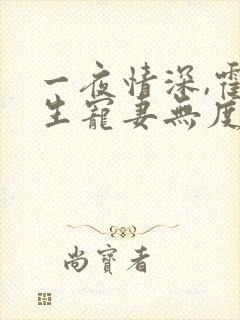 一夜情深,霍先生宠妻无度 小说