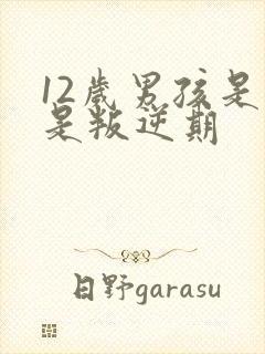 12岁男孩是不是叛逆期