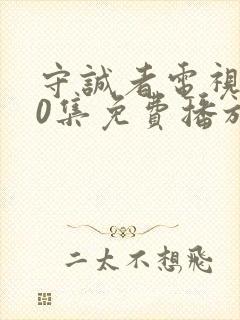 守诚者电视剧40集免费播放视频