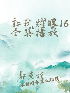 许我耀眼16集全集播放