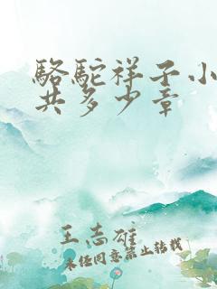 骆驼祥子小说一共多少章