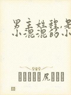 男主姓程,是个小混混的小说