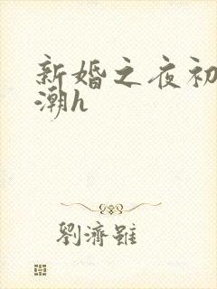 新婚之夜初尝高潮h