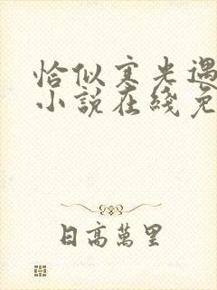 恰似寒光遇骄阳小说在线免费观看