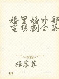 婚里婚外那些事电视剧全集