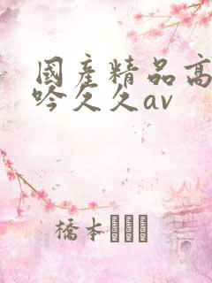 国产精品高潮呻吟久久av