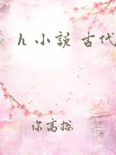 h 小说 古代