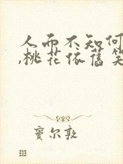 人面不知何处去,桃花依旧笑春风全诗