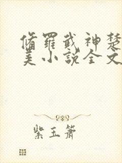 修罗武神楚枫苏美小说全文阅读