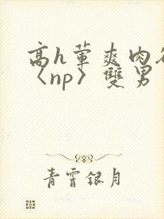 高h荤爽肉欲文〈np〉双男