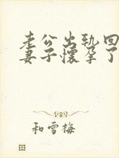 老公出轨回归后妻子怀孕了