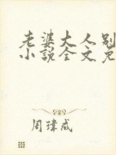 老婆大人别想逃小说全文免费阅读