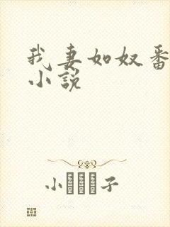 我妻如奴番外篇小说