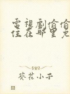 电视剧偷偷藏不住在哪里免费看