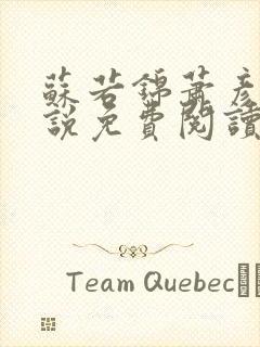 苏若锦萧彦初小说免费阅读最新章节