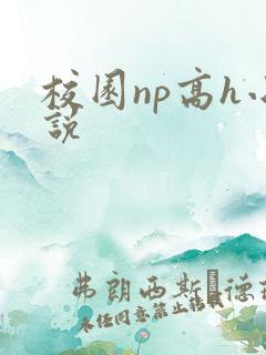 校园np高h小说