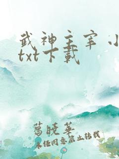 武神主宰 小说txt下载