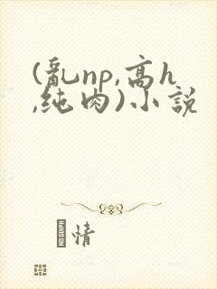 (乱np,高h,纯肉)小说