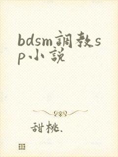 bdsm调教sp小说
