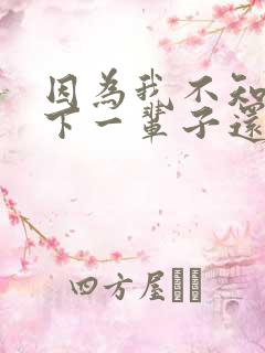 因为我不知道,下一辈子还是否能遇见你歌词