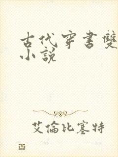 古代穿书双男主小说