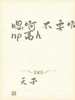 嗯啊 不要啊 np高h