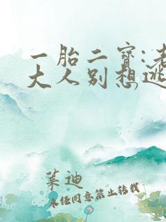 一胎二宝:老婆大人别想逃