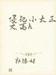 侵犯小太正肉车文高h