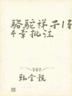 骆驼祥子1到24章批注