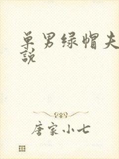 单男绿帽夫妻小说