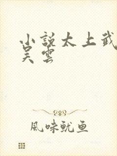 小说太上武神诀吴云