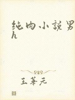 纯肉小说男男高h