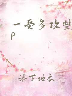 一受多攻双性np
