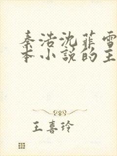 秦浩沈菲雪是哪本小说的主人公