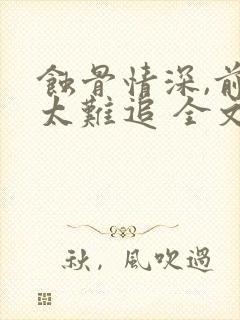 蚀骨情深,前妻太难追 全文