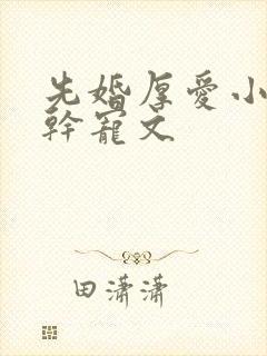 先婚厚爱小说高干宠文