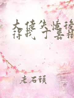 大佬失忆后只记得我 丁嘉树