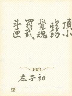 斗罗觉醒顶级剑匣武魂的小说