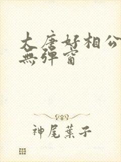 大唐好相公阅读无弹窗