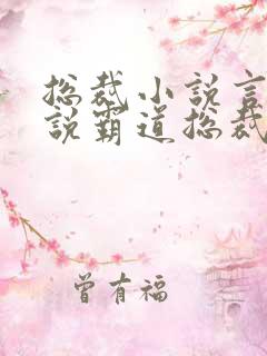 总裁小说言情小说霸道总裁爱上我