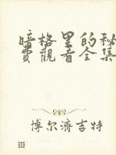 暗格里的秘密免费观看全集电视剧