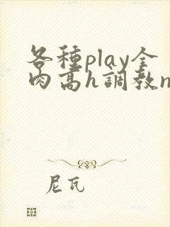 各种play全肉高h调教np