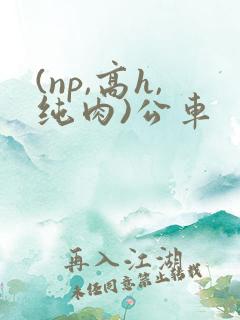 (np,高h,纯肉)公车