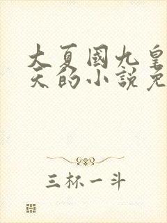 大夏国九皇子夏天的小说免费阅读