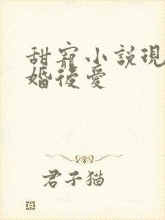 甜宠小说现言先婚后爱