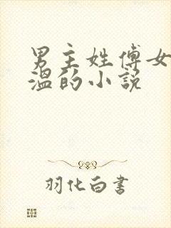 男主姓傅女主姓温的小说