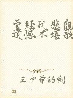 曾经我悲观孤单遗憾不堪歌词