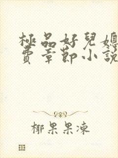 极品好儿媳的免费章节小说全文阅读